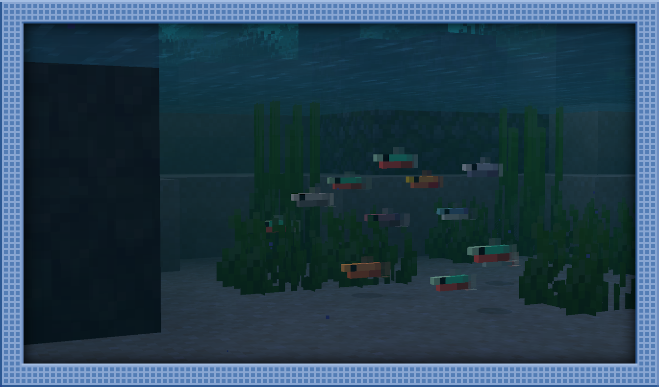 All Tetra variants in a Rainforest Basin